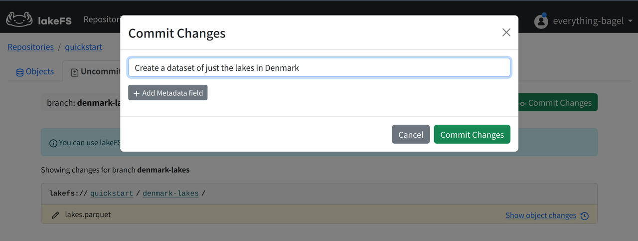 Image: lakeFS Commit Changes