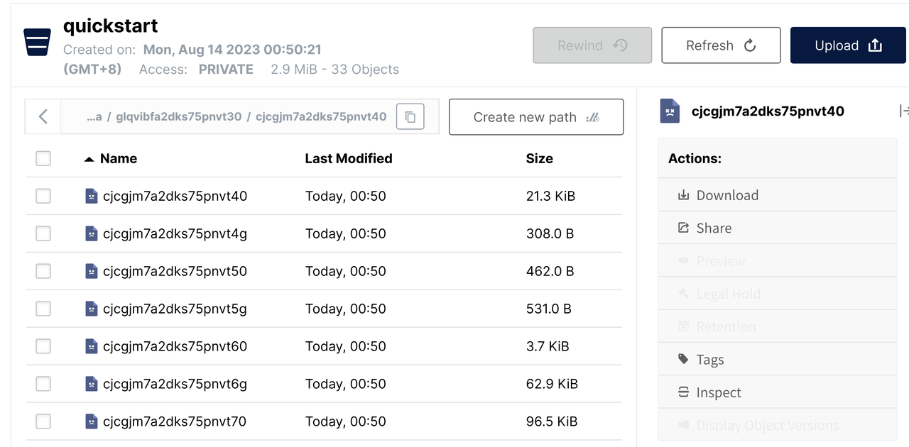 Image: MinIO data/ Directory View